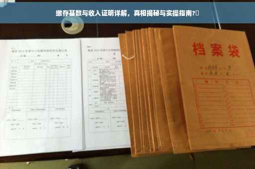 缴存基数与收入证明详解，真相揭秘与实操指南?✨