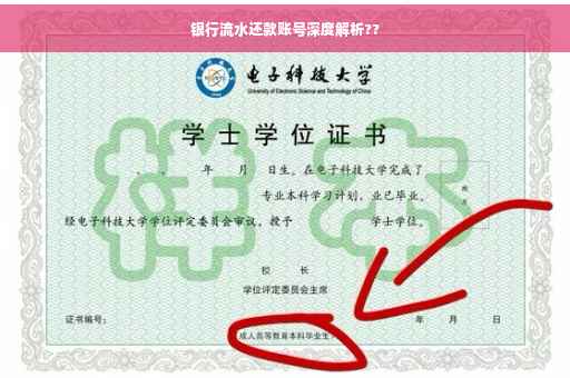 银行流水还款账号深度解析??