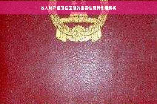收入财产证明在医院的重要性及其作用解析