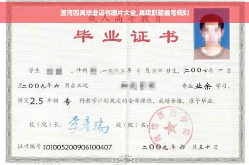 漯河四高毕业证书图片大全,高级职称编号规则