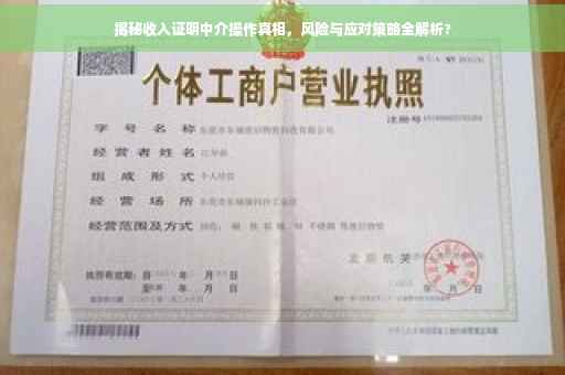 揭秘收入证明中介操作真相，风险与应对策略全解析?