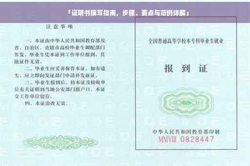 「证明书撰写指南，步骤、要点与范例详解」