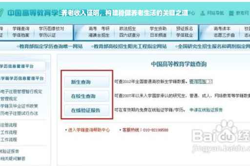 养老收入证明，构建稳健养老生活的关键之道