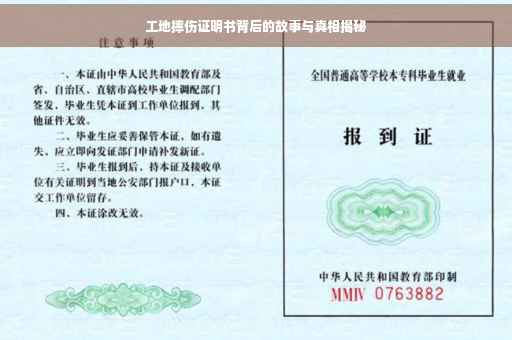 工地摔伤证明书背后的故事与真相揭秘