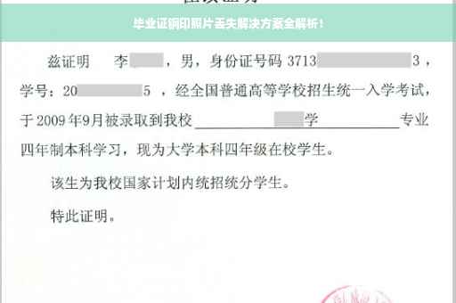 毕业证钢印照片丢失解决方案全解析！