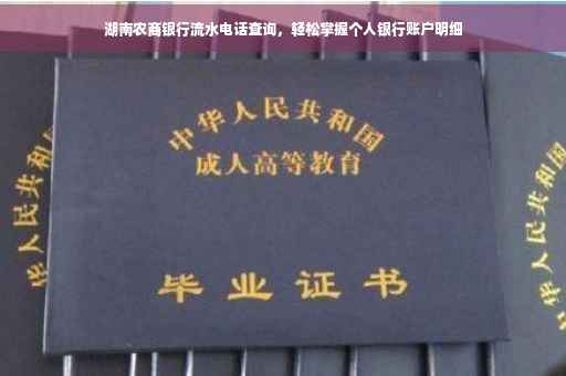 湖南农商银行流水电话查询，轻松掌握个人银行账户明细