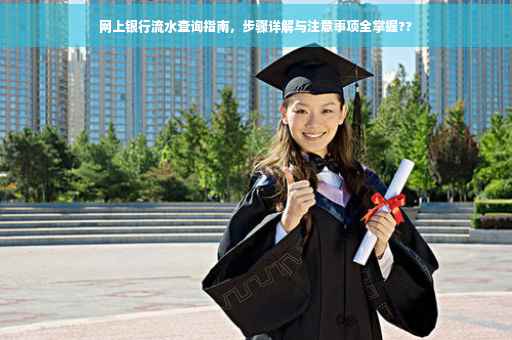 网上银行流水查询指南，步骤详解与注意事项全掌握??