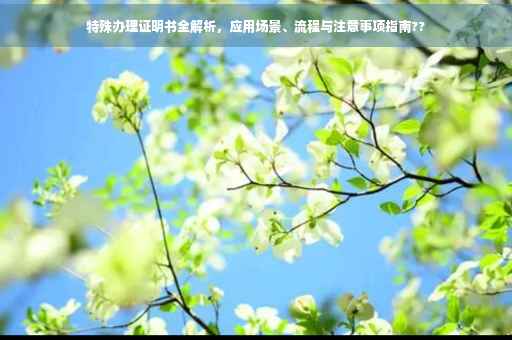 特殊办理证明书全解析，应用场景、流程与注意事项指南??
