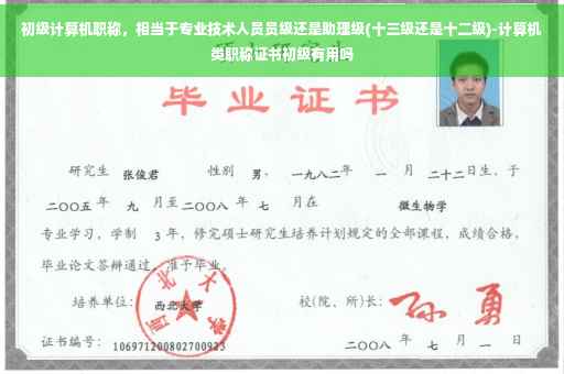初级计算机职称，相当于专业技术人员员级还是助理级(十三级还是十二级)-计算机类职称证书初级有用吗