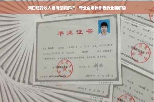 海口建行收入证明深度解析，专业自媒体作者的全面解读