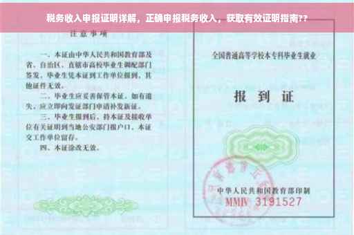 税务收入申报证明详解，正确申报税务收入，获取有效证明指南??