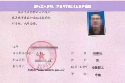 银行流水详解，本金与利息分离解析指南