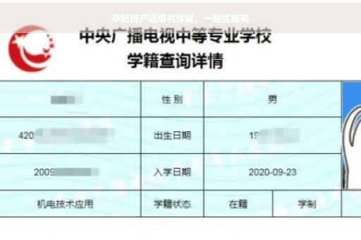 孕妇待产证明书详解，一站式指南