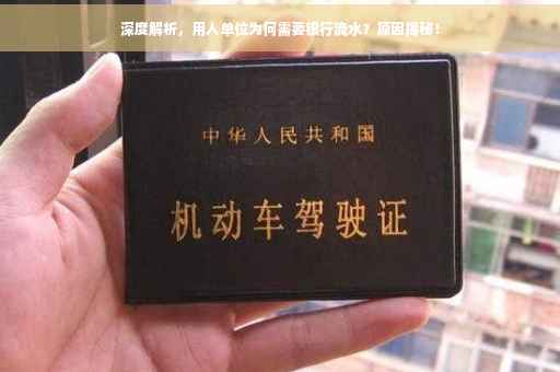 深度解析，用人单位为何需要银行流水？原因揭秘！