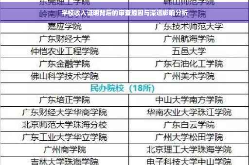 学校收入证明背后的审查原因与深远影响分析