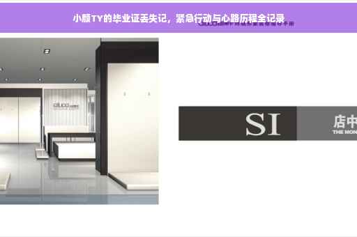 小颜TY的毕业证丢失记，紧急行动与心路历程全记录