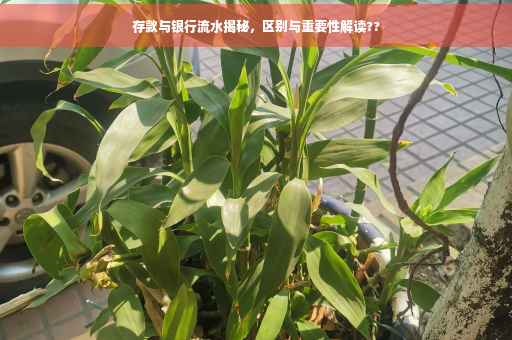 存款与银行流水揭秘，区别与重要性解读??