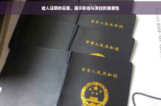 收入证明的后果，揭示影响与责任的重要性