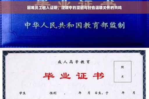 困难员工收入证明，逆境中的坚韧与社会温暖关怀的共鸣
