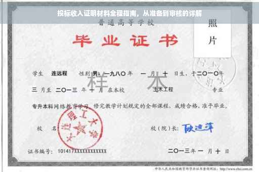 投标收入证明材料全程指南，从准备到审核的详解