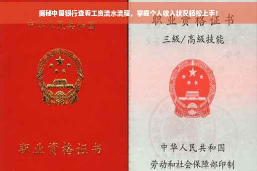 揭秘中国银行查看工资流水流程，掌握个人收入状况轻松上手！