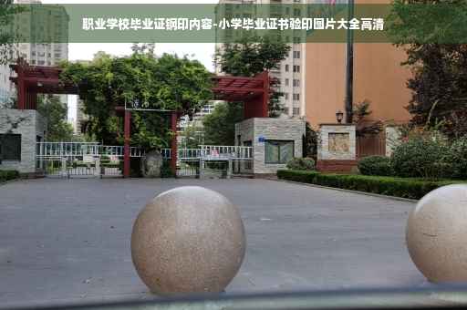 职业学校毕业证钢印内容-小学毕业证书验印图片大全高清