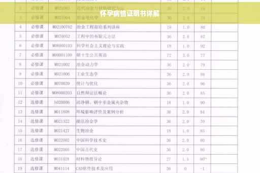 怀孕病情证明书详解