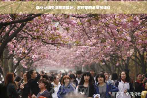 毕业证遗失遭故意破坏，应对策略与维权建议