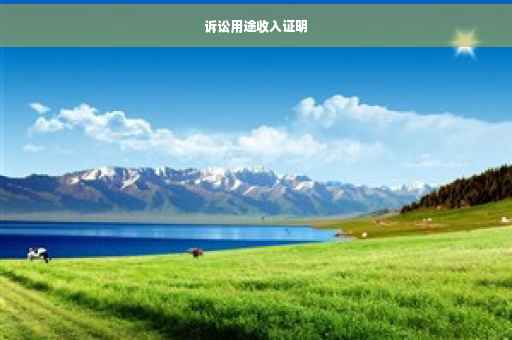 诉讼用途收入证明
