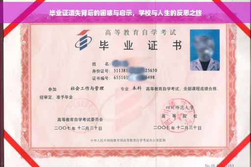 毕业证遗失背后的困惑与启示，学校与人生的反思之旅
