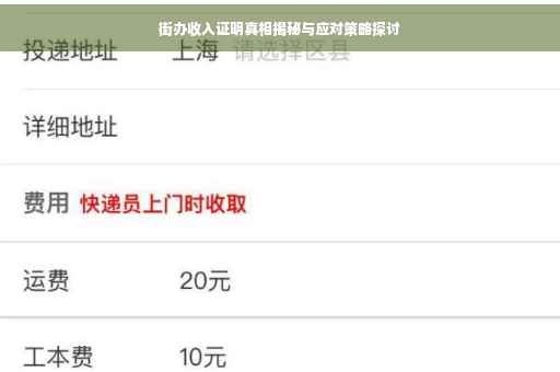 街办收入证明真相揭秘与应对策略探讨