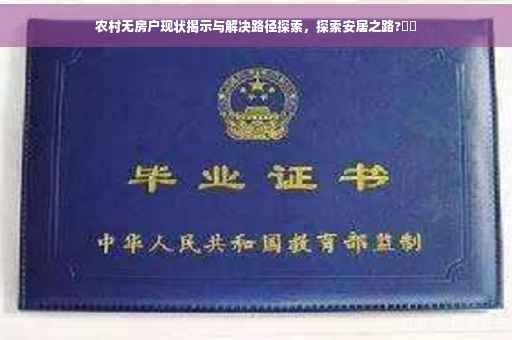农村无房户现状揭示与解决路径探索，探索安居之路?⚡️