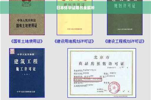 日本怀孕证明书全解析