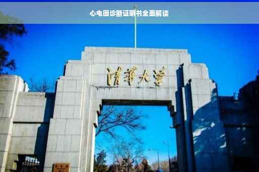 心电图诊断证明书全面解读