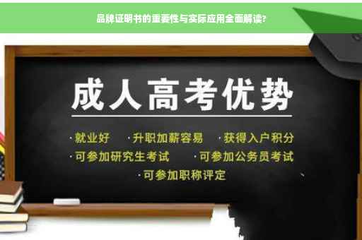 品牌证明书的重要性与实际应用全面解读?