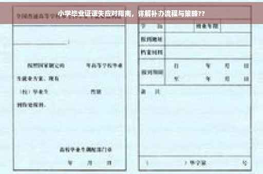 小学毕业证遗失应对指南，详解补办流程与策略??