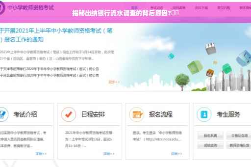 揭秘出纳银行流水调查的背后原因?⚡️