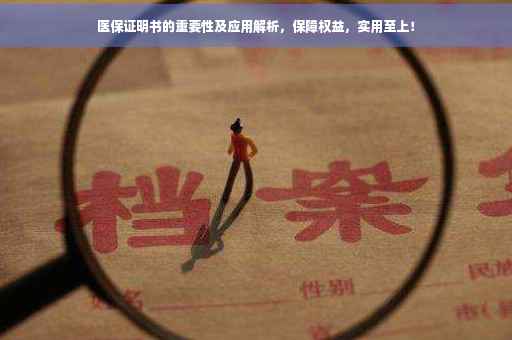 医保证明书的重要性及应用解析，保障权益，实用至上！