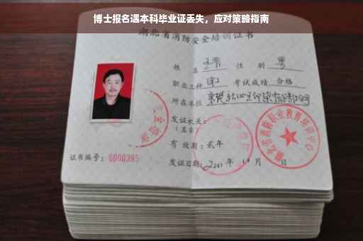 博士报名遇本科毕业证丢失，应对策略指南
