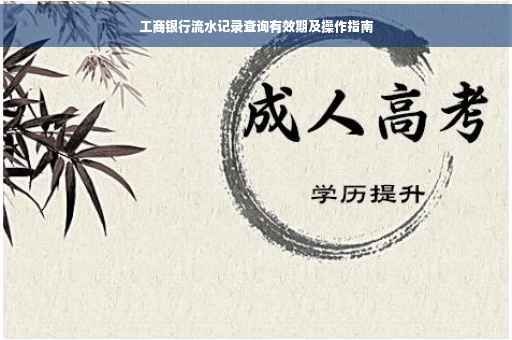 工商银行流水记录查询有效期及操作指南