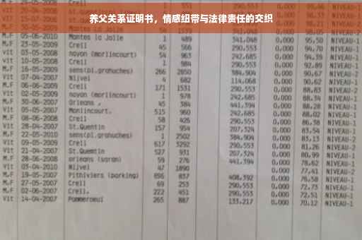 养父关系证明书，情感纽带与法律责任的交织