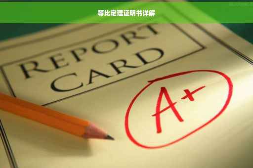 等比定理证明书详解