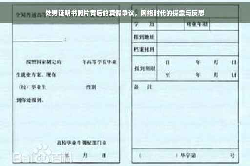 处男证明书照片背后的真假争议，网络时代的探索与反思