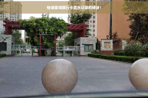 快速查询银行卡流水记录的秘诀！