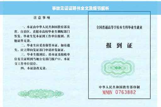 事故见证证明书全文及细节解析