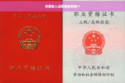 党费收入证明模板指南??