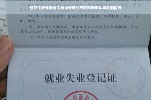 研究生毕业证丢失后比亚迪的应对策略与认可机制探讨