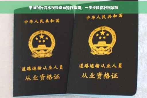中国银行流水视频查看操作指南，一步步教你轻松掌握
