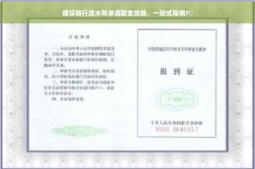 建设银行流水账单调取全攻略，一站式指南?✨