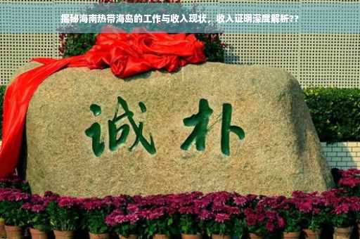 揭秘海南热带海岛的工作与收入现状，收入证明深度解析??